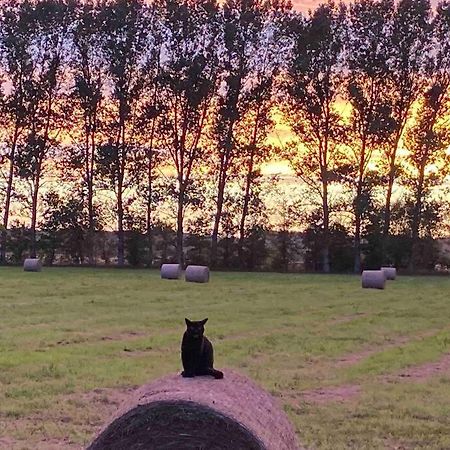 Ferienwohnung Kompass Nahe Der Ostsee Im Gruenen Bad Doberan Exterior foto