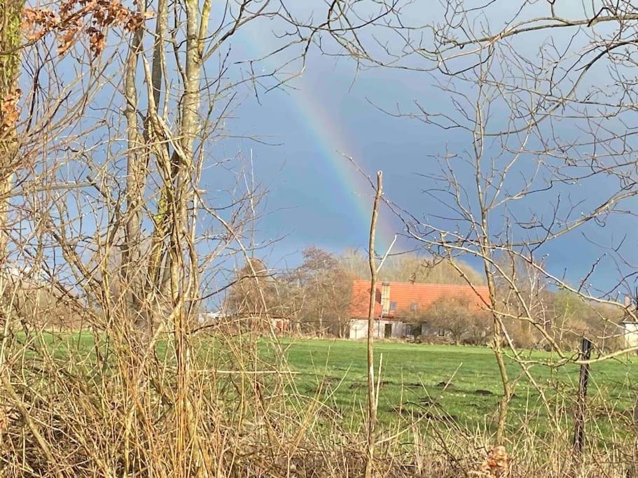 Ferienwohnung Kompass Nahe Der Ostsee Im Gruenen Bad Doberan Exterior foto